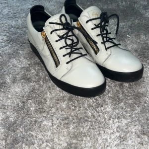 Giuseppe Zanotti 45 - Skor, stl. 45, Herr Säljer dessa nästintill oanvända Giuseppe Zanotti skorna som är använda Max 3 gånger.  2000 kr