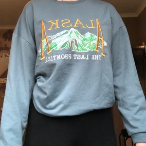 Sweatshirt  - Ganska tunn sweatshirt med alaska motiv, köpt från shein med bara använt få gånger. Köpt för 160Det broderade mönster är lite trådigt som du ser på bilden💕 Säljer för att den inte kommer till användning! Parfekt för sommaren🌸 frakt återkommer 
