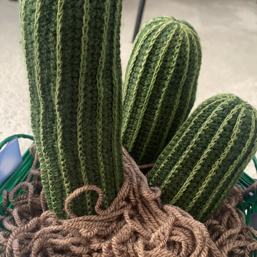 En kaktus som är stickad i en kruka.. Övrigt.