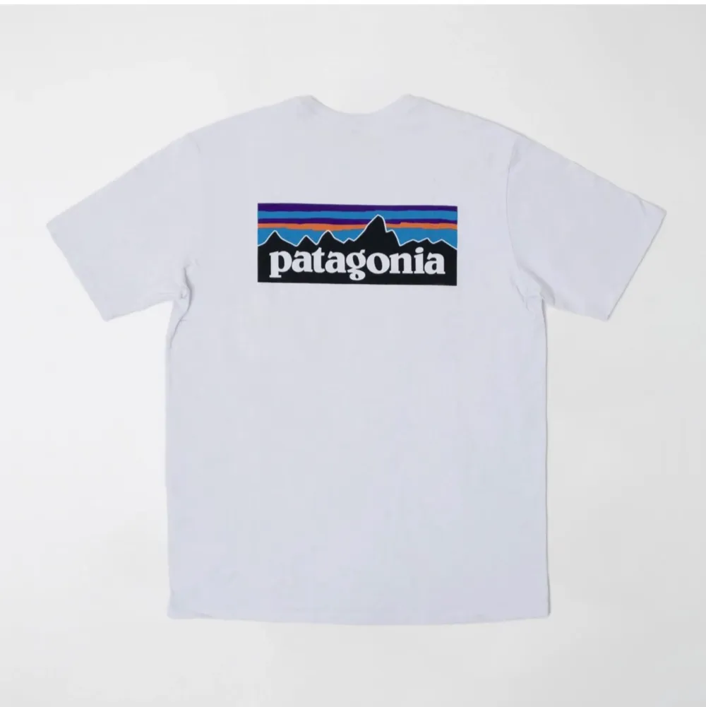 Vit Patagonia t-shirt, aldrig använd. Storlek M (herrstorlek). . T-shirts.
