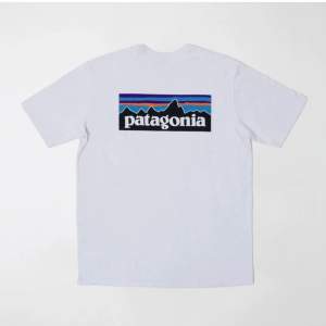 Vit Patagonia t-shirt, aldrig använd. Storlek M (herrstorlek). 