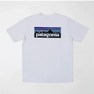 T-shirt - Vit Patagonia t-shirt, aldrig använd. Storlek M (herrstorlek). 