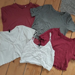 T-shirts M - Allt för 100