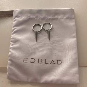 Säljer mina örhängen ifrån Edblad då de inte kommer till användning längre, inga defekter❤️