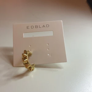 ”Ett” edbladsörhänge  - Jag har inte alls använt de mycket då jag fick den förra veckan och igår tappade jag bort den ena 