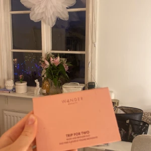 Blush och bronzer - Fin dup palette