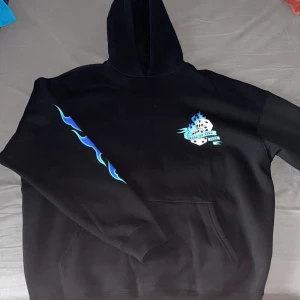 En vanlig hodie - Den här hodien är ifrån new yorker köpte den och tyckte att den va för stor så den är i jättebra skick och den är oanvänd och den är i storlek M men jag tror den kan funka som L också eftersom den var väldigt stor. Köpte den för 500 kr.