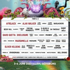 Summerburst - Säljer 2st summerburst biljetter!! Fick dem i födelsedagspresent men kan inte gå pga att jag ska på studentresa samma datum😞 Köp båda för 2000kr