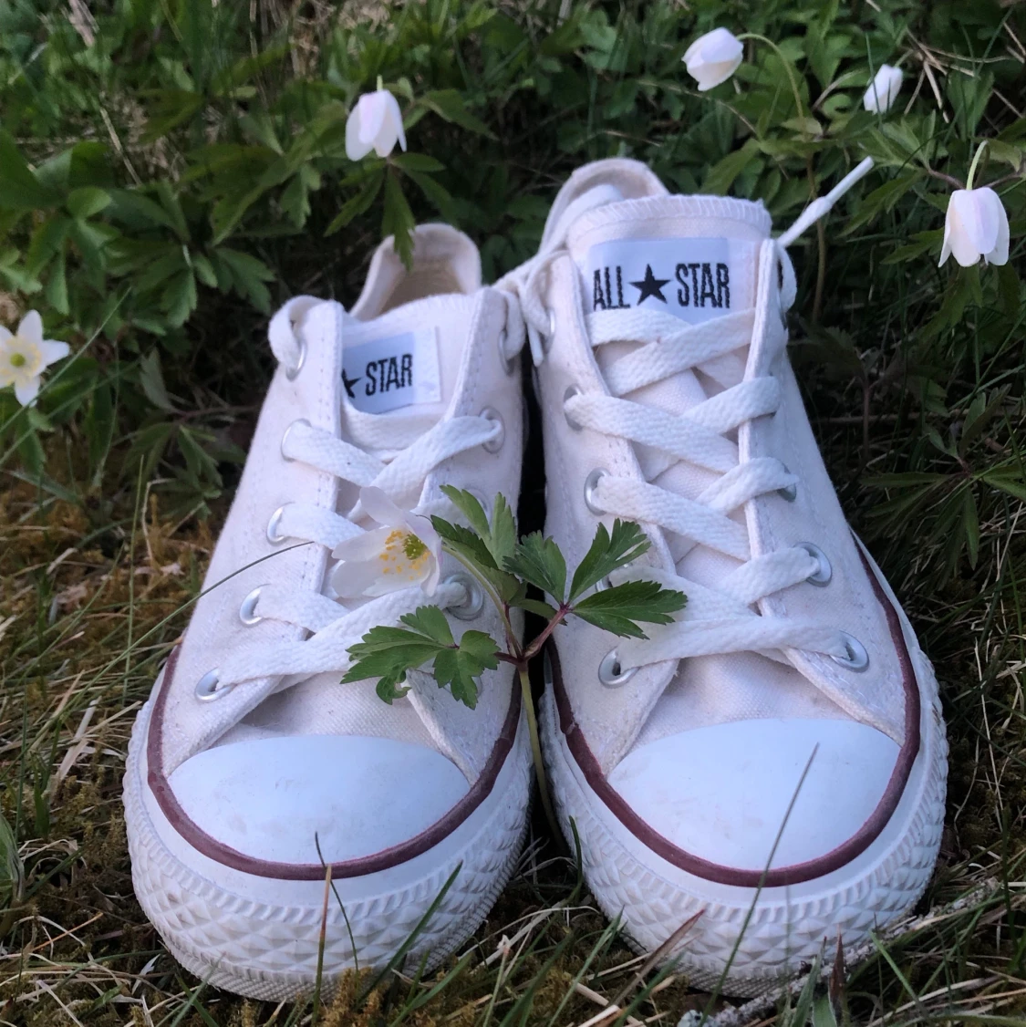 Converse söker nytt hem✨