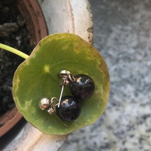 Örhängen  - Köp ej om du är allergisk mot äkta/fejk