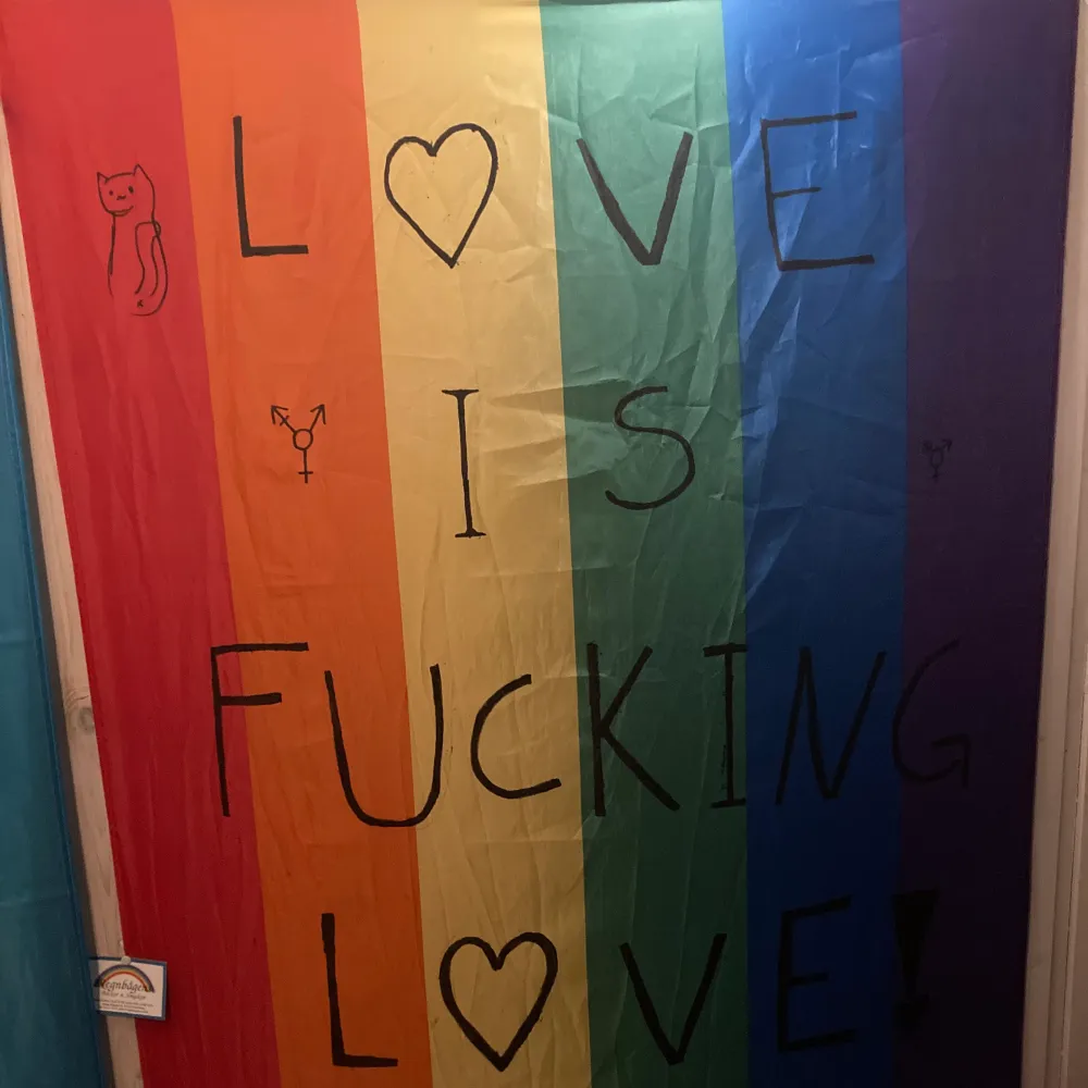 En regnbågsflaggan där det står ”Love is FUCKING Love” Den är 90x150cm Betalas ändast med swish 120 med frakt❤️. Övrigt.