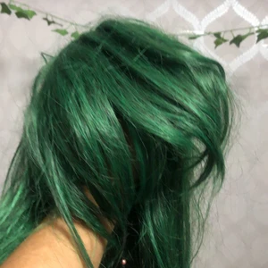 Peruk - Säljer denna fropoy peruken (kan andvändas till anadra cosplays) den är typ 1 år gammalt hade på mig den max 10 gånger,säljer den eftersom att jag inte cosplayar längre. Peruken kan fixaxs men det orkar jag tyvär inte göra:( priset kan diskuteras 