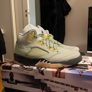 Jordan 5  - Tjena, säljer dessa skitsnygga Jordan 5 jade. Helt nya aldrig använda. Storlek 43. Pris 2400 kr 