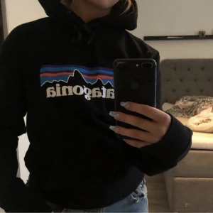 Patagonia Hoodie - Patagonia Hoodie utan defekter.  Säljer då den inte kommit till användning. (Lånade bilder)