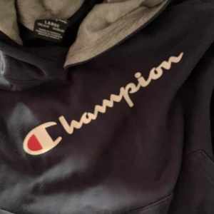 Champion tröja  - Basic luvtröja 