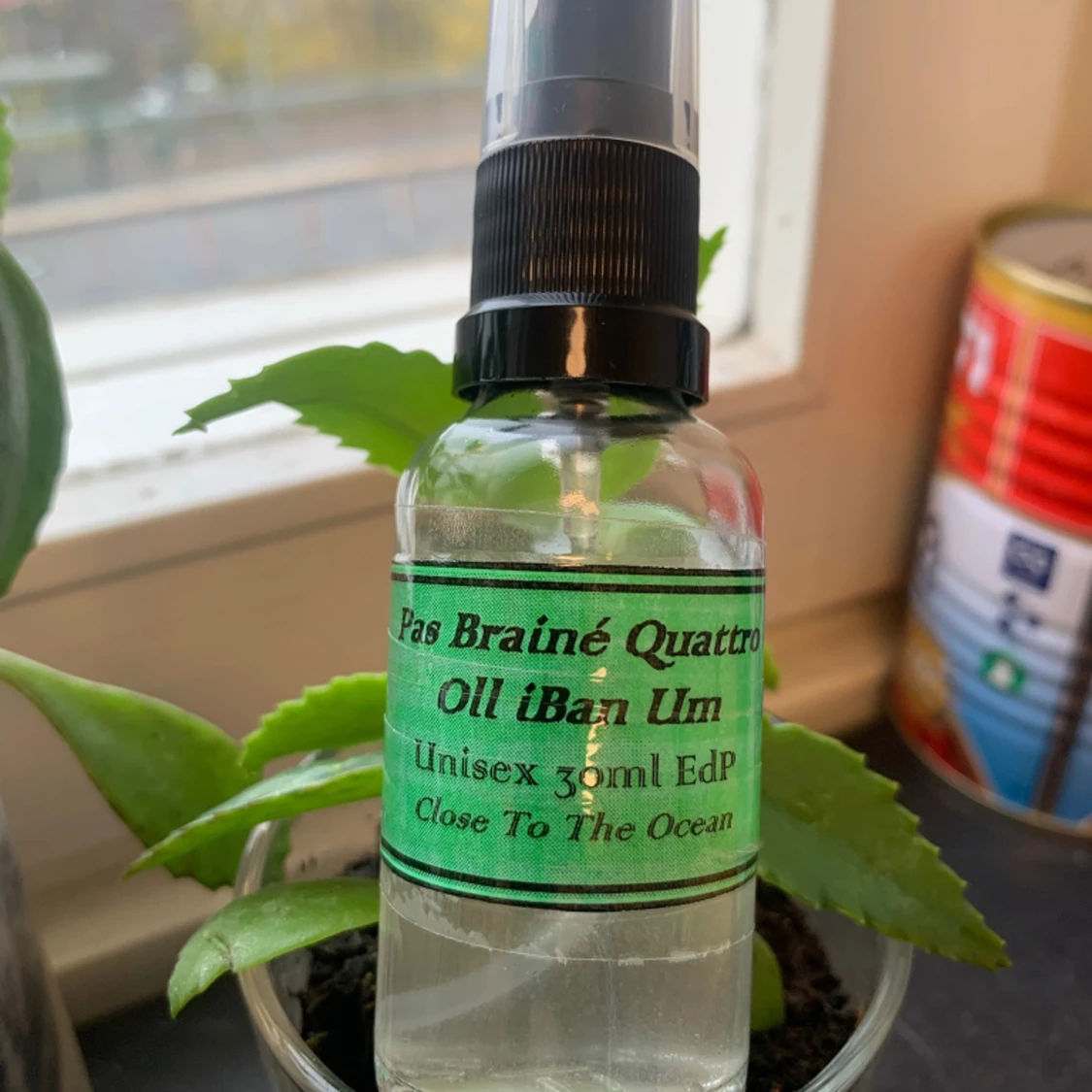 Scent of Sweden Close to The Ocean