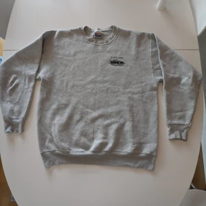 Vintagetröja - Large, något slitet skick, exempelvis muddarna. 