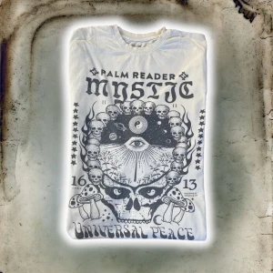 Långärmad tshirt med print - Tröja med print! Köpt från Urban outfitters, bra skick, Oversized modell, är storlek 38 och sitter hyfsat baggy på mig👍 