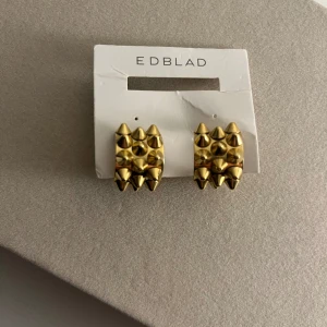 Edblad nit örhängen  - Sjuuukt fina örhängen passar perfekt inför sommaren! Säljer pgr inte min stil. Använt Max 3 ggr rengjort nogrant med asålsprit. Örhängena finns inte längre på Edblad! NYPRIS: 449kr 🤍