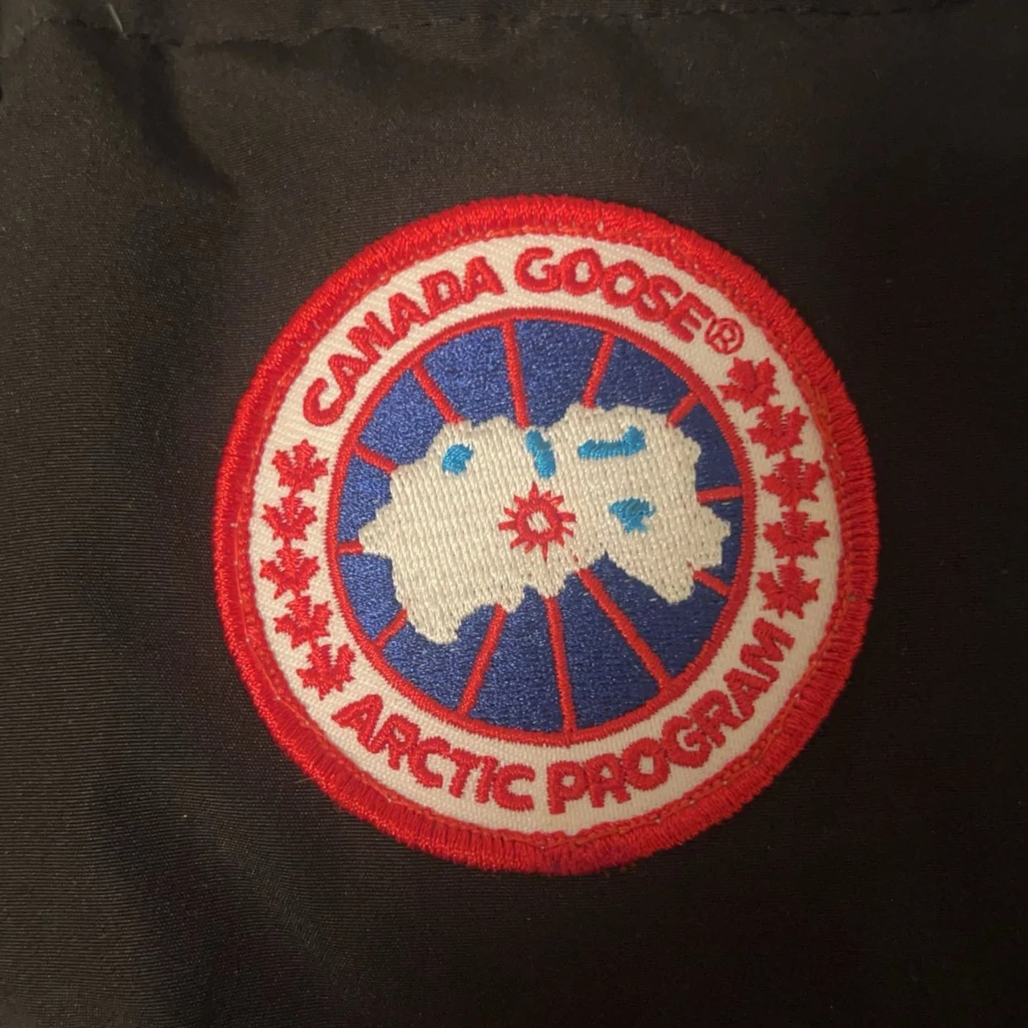 Canada goose  - 90