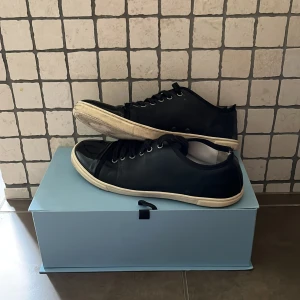 Lanvin skor - Säljer nu dessa Lanvinsen då jag bara använt den ett fåtal gånger. Denna modellen har en lite lägre sula till skillnad mot de flesta Lanvins. Inte lika eftertraktade så därav priset. Ända defekt längst bak på skon. Skick 8.5/10 nypris: 3999.Box ingår