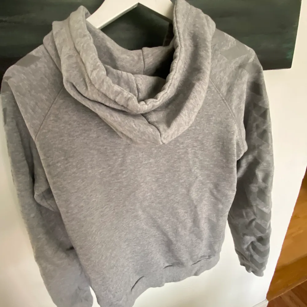 en grå hoodie som är köpt från sellpy men inte riktigt kommit till användning någon gång💗 ser ut som en ny!. Hoodies.