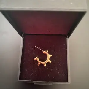 1 guldörhänge med nitar från ur&penn som liknar Edblad 