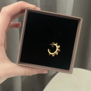 Edblad örhänge - Säljer detta Edblad örhänge, tyvärr finns det bara ett då det andra är tappat. Edblad box kommer med.