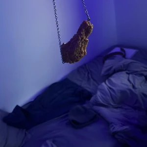 Chicken wing halsband - Bra skick 