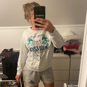 Grå sweatshirt från Kenzo Kids - En grå sweatshirt från Kenzo Kids med ett färgglatt tryck av en elefant och texten 'Kenzo Paris' på framsidan.  Äkta märkeströja