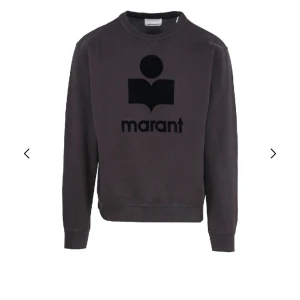 super fin Isabel marant tröja❤️ - Säljer nu min superfina Isabel marant tröja som köptes 2022 för 4000 den är i ett ganska bra skick men finns få defekter kan även tänka mig byta mot något💕