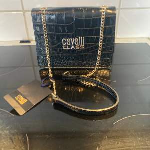 Väska från Roberto Cavalli.  Väskan är i mycket fint skick, använd ett fåtal gånger endast. Måtten är H: 14 cm B: ca 18 cm D: ca 7 cm  Väskan kommer med etiketter och dust bag. Fler bilder kan skickas. Köpt från Zalando.  Nypris ca 3 000 kr. 