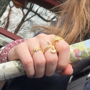 Nilsdotter ringar  - Tjena! För lat för göra 2 annonser atm, säljer dessa 2 Maria Nilsdotter ringar, tillsammans eller separat!  Sjöhästen och vingen med klo! Puss,  Sjöhästen är strl 16, klon är justerbar men jag har den som en 17, 