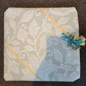 Hemligt paket  - Hemligt paket Theo