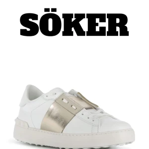 Valentino skor  - Jag SÖKER ett par Valentina skor i storlek 36. I någon av dessa färger. Lägger Max 1500