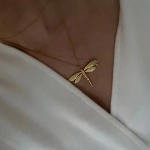 Trollslända halsband  - Trollslända halsband! Väldigt eftertraktat💕 rostfritt stål 