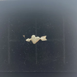 L8hasselblad örhänge - Köpt för 200. Helt ny