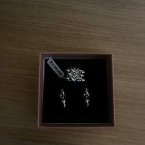 Säljer mina helt nya örhängen & ring från Edblad då jag har likadana och ringen inte passar mig!❤️ 