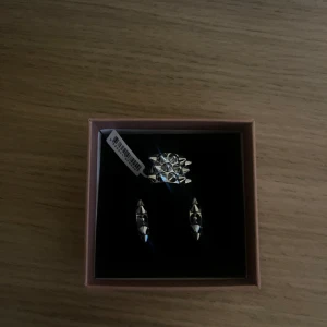 Edblad ring/ örhängen - Säljer mina helt nya örhängen & ring från Edblad då jag har likadana och ringen inte passar mig!❤️ 