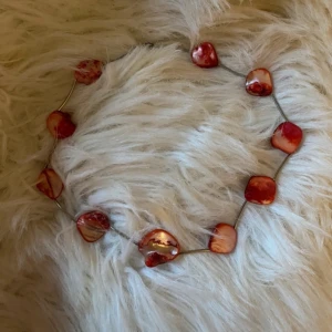 Halsband  - Halsband som jag köpte second hand men tyvärr inte använder så mycket längre