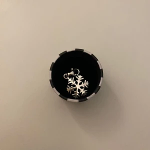 Thomas sabo berlock - Säljer denna söta berlocken i silver från Thomas sabo.  Säljer eftersom jag fått den i present och jag redan har en likadan.  Nypris: 300 kr mitt pris: 225 kr 