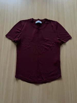 Vinröd t shirt  - Vinröd t shirt från zara i storlek s💗bara använt en gång! Säljer för 150💗