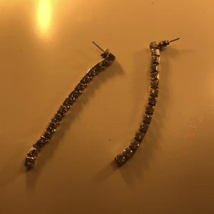 Glänsande långa örhängen🌸 - Jättefina långa örhängen med som små diamanter i mitten , har ingen användning av de💗