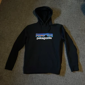 Patagonia Hoodie - Patagonia Hoodie i fint skick 9/10