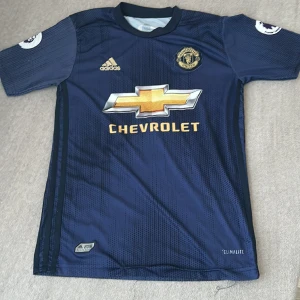 Manchester United bortatröja - Man Utd bortatröja med nummer 7 & alexis sanchez på ryggen. Bra skick!