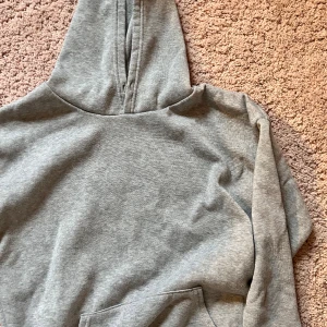 Grå hoddie - Grå hoddie, lite tunnare och superfin. Passar till allting egentligen. Används inte då den är för liten för mig