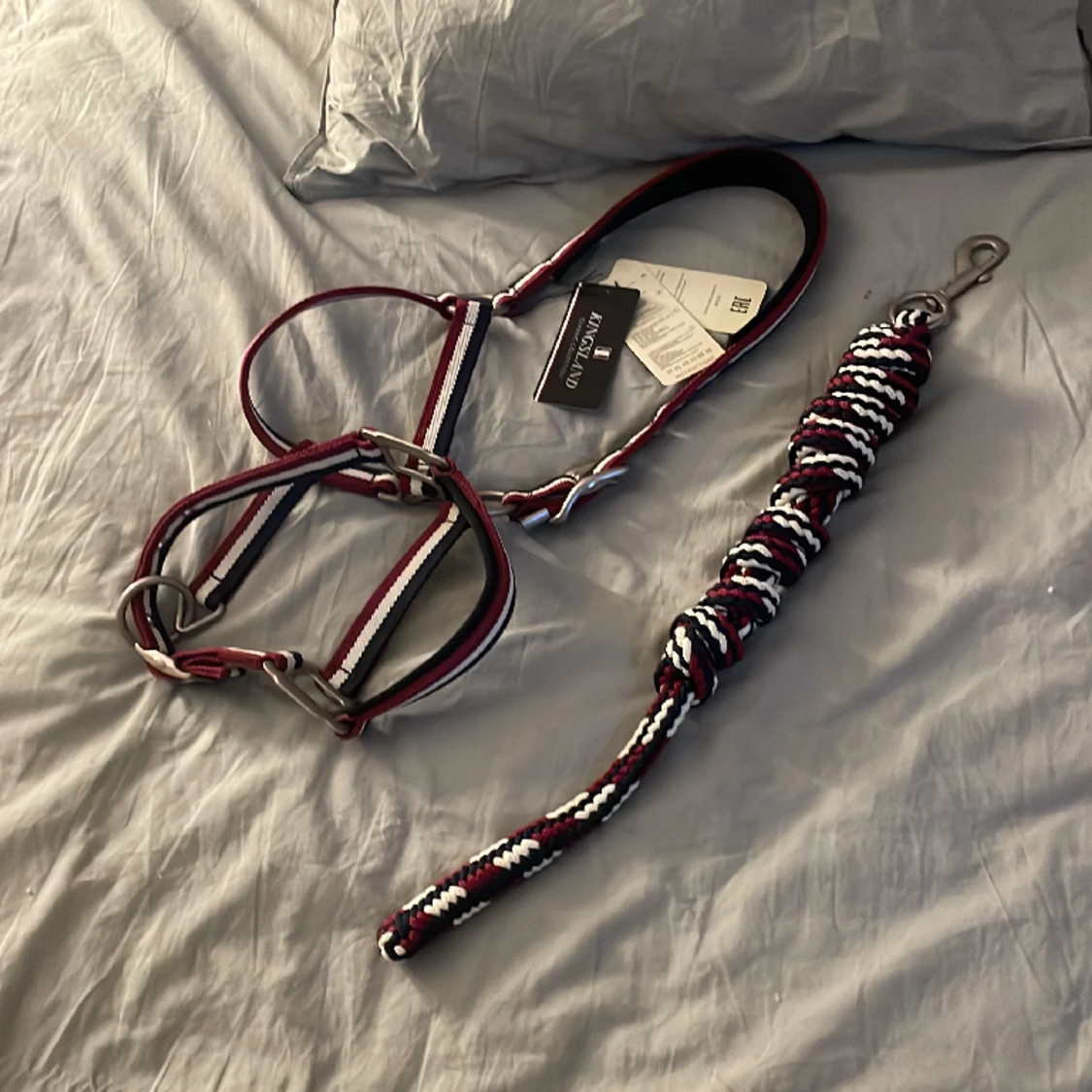 Kingsland grimma /cob