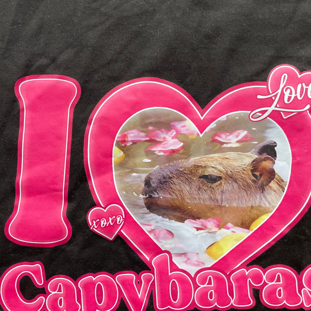 I ❤️ Capybaras T-shirt storlek S. T-shirts.