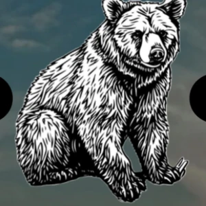 Byter plick konto  - officialnordicbear 