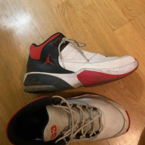 Jordan skor  - Storlek 43  användande tre gånger, behöver tvätta dem